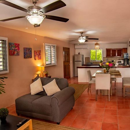 Budgies Cozumel Ngoại thất bức ảnh