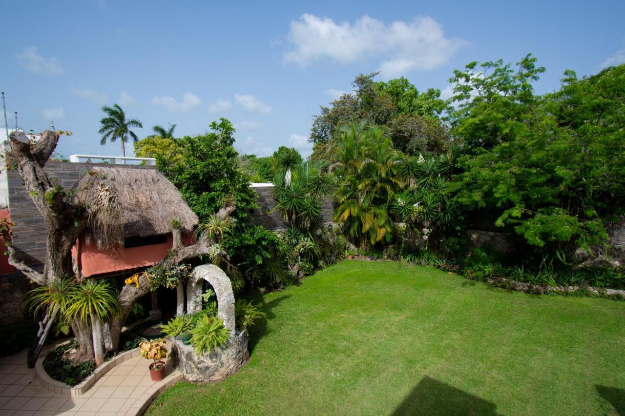 Budgies Cozumel Ngoại thất bức ảnh