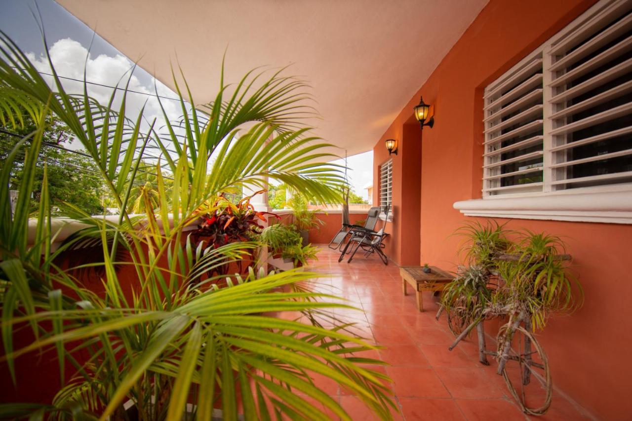 Budgies Cozumel Ngoại thất bức ảnh