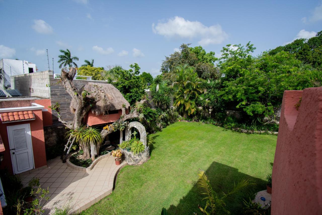 Budgies Cozumel Ngoại thất bức ảnh