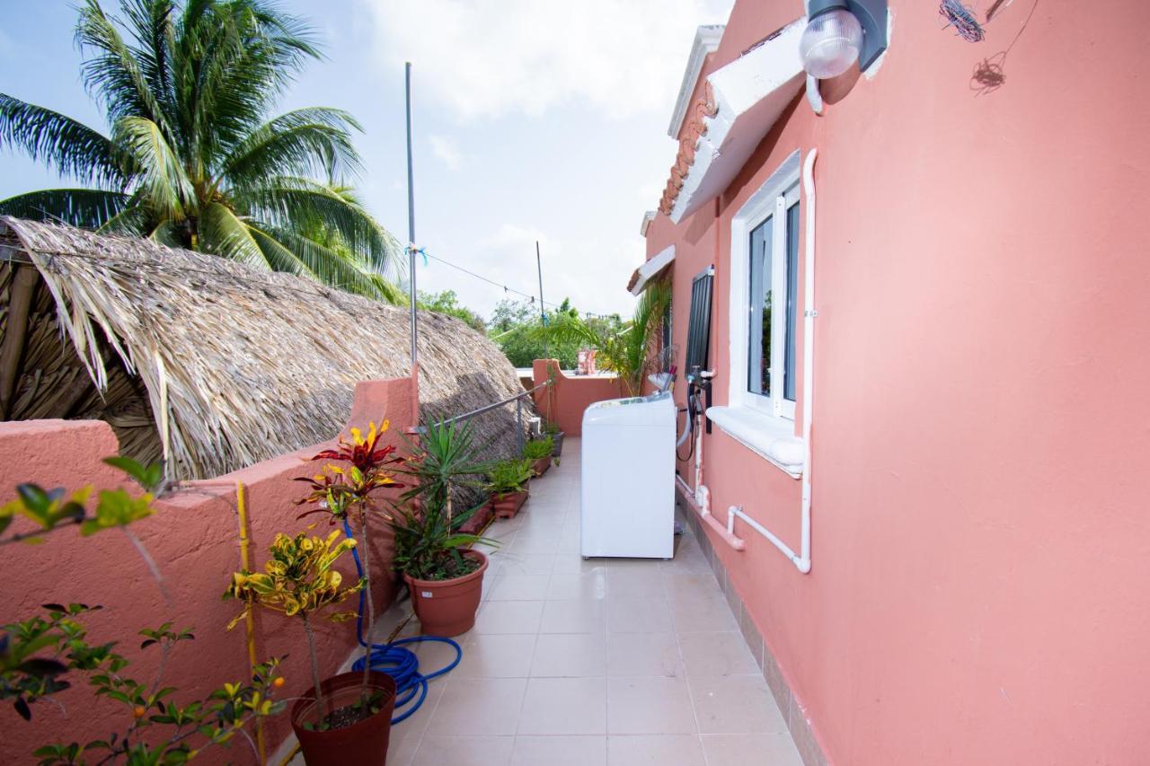 Budgies Cozumel Ngoại thất bức ảnh